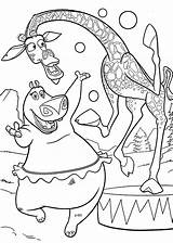 Madagascar Coloring Pages Gloria Printable Kids Melman Disney Totoro Neighbor Animal Drawing Cartoon Jungle Animals Movie Print Activity Safari Theme sketch template