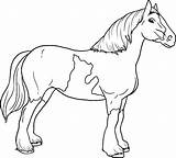 Caballo Cavalos Desenhos Gratuitamente Ninos Caballos Dipacol Ninas sketch template