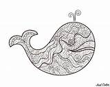 Zentangle Whale Coloring Adult Cool Color Pages sketch template