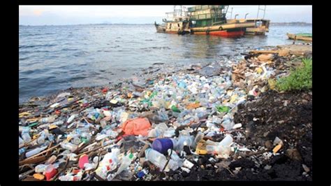 fatih efe bayrak video  environmental pollution