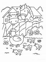 Farm Coloring Kids Simple Pages sketch template