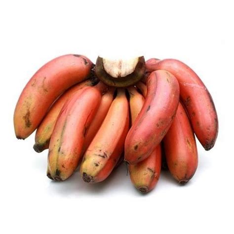 mehadrin mini red bananas   kilo farm  family