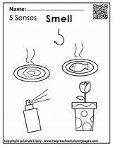 Senses Smell Instax Fujifilm sketch template