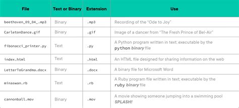phase  files extensions  filetypes learnco