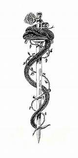 Samurai Swords Cool Askideas Valkerie Tatring Nietzsche Drawings Dagger Shoulder Ilustra Raspaw sketch template