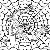 Spiderman Coloring Logo Pages Appealing Spider Man Getcolorings Color sketch template