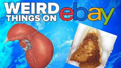 10 of the weirdest things ever sold on ebay youtube