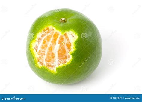 single green mandarin orange stock image image