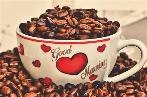 good morning love coffee good morning images quotes wishes messages  ecards