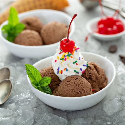 chocolate ice cream sundae   bowl stock image image  cold