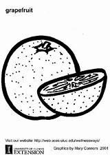 Colorare Pompelmo Pompelmoes Pampelmuse Pamplemousse Malvorlage Grapefruit Pomelo Frutas Naranjas Schulbilder Disegni Schoolplaten Große Grote Scarica sketch template