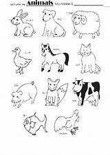 Animals Color Worksheets Children Activities Kids English Printable Domestic Learn Animal Colour Farm Vocabulary Preschool sketch template