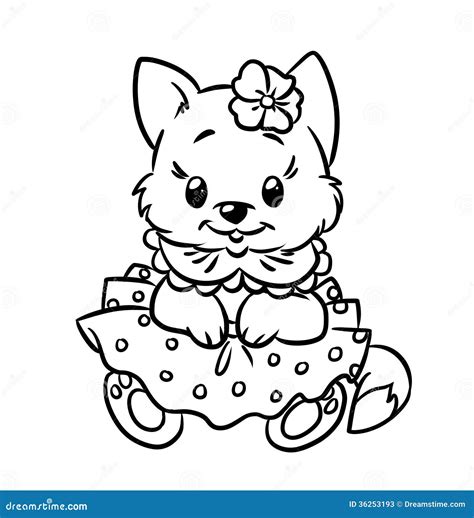 baby kitten coloring pages stock  image