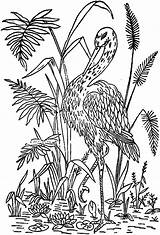 Stork Ingalls 1886 sketch template
