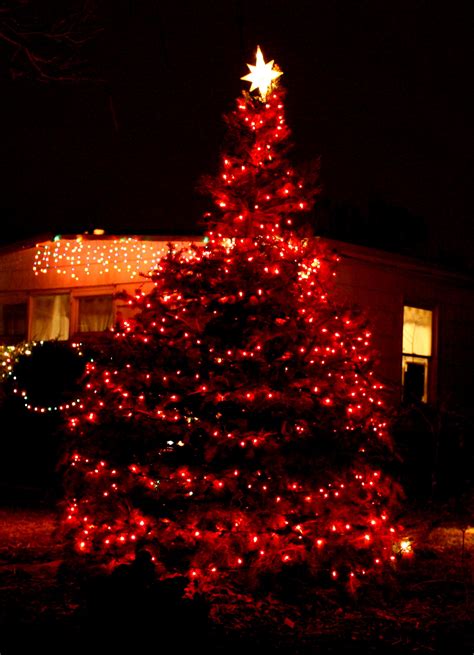 christmas tree  red lights picture  photograph