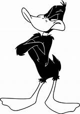 Daffy Duck Patolino Looney Tunes Pernalonga Imagens Printable Colouring Aventuras Das sketch template