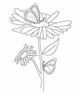 Botanical Paperworks Botanicalpaperworks sketch template