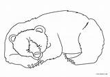 Ausmalbilder Kostenlos Ausdrucken Baren Bären sketch template