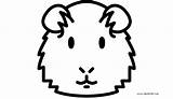 Pig Guinea Coloring Pages Head Printable Kids sketch template