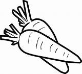 Carrot Carrots Marchewki Dwie Cenouras Coloringbay Coloriage Sayuran Menggambar Sayur Rabbit Creepy Colorier Kolorowanka Colorironline Webstockreview Duas Dentistmitcham Tableau Enregistrée sketch template