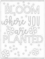 Coloring Bloom Planted Where Pages Teacherspayteachers Sold Adult sketch template