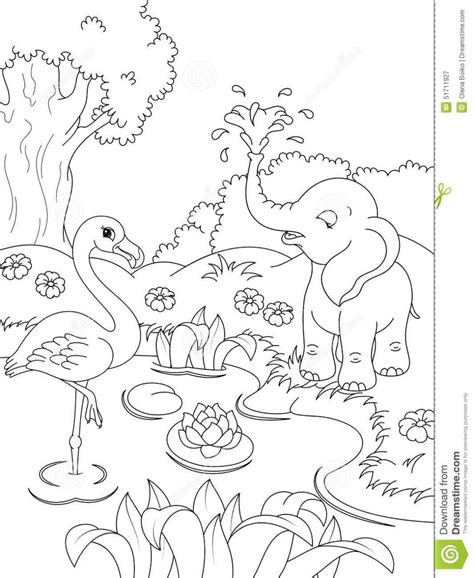 beautiful nature coloring pages  getdrawings