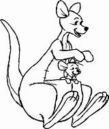 Kanga Pooh Winnie Kangaroo Roo Coloring Pages Drawn Pngkey sketch template