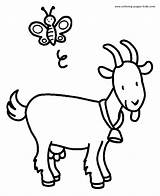 Coloring Pages Goat Animal Printable Color Sheets Kids Animals Goats Butterfly Farm Sheet Animales Found Colorear Para Print sketch template