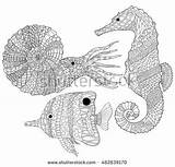 Coloring Ammonite Designlooter Shellfish Stress Butterflyfish Drawn Anti Horse Sea Illustration Vector Hand 49kb 431px sketch template