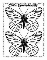 Butterflies Spring Symmetrical Color Worksheet Worksheets Symmetrically Worksheetplace sketch template