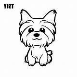 Yorkie Yorkshire Terrier Puppy Poo Teacup Coloreo sketch template