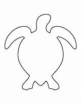 Turtle Outline Clipart Sea Template Cliparts Library sketch template