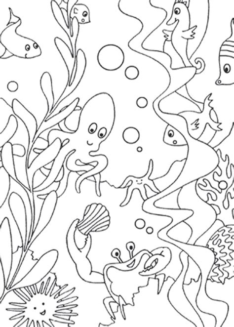 sea animal coloring pages    print
