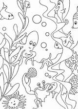 Coloring Animals Pages Animal Ocean Sea Printable Popular sketch template