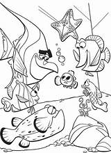 Nemo Acquario Gdzie Pesci Kolorowanka Ricerca Wydruku Malowanka Kolorowanki Stampare Nemos Akwarium Dory Malowanki Wydrukowania Pokolorowania Bajki Girlscoloring sketch template