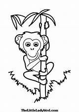 Climbing Coloring Monkey Tree Bamboo Pages Rock Climb Color Printable Getcolorings Panda Getdrawings Kids Categories sketch template