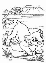 Coloring Pages Simba Lion Kids King Disney Cartoon Printable 10f8 Little Print Holding Colouring Fun Král Horse Sheets Books Lví sketch template