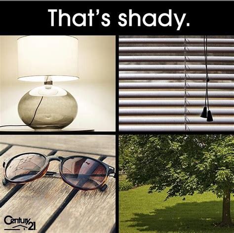 whats  favorite type  shade types  shading shady oval sunglass
