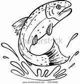 Trout Rainbow Line Drawing Clip Fish Jumping Clipart Brook Coloring Vector Template Shutterstock Drawings Stencil Patterns Outline Fishing Illustrations Pattern sketch template