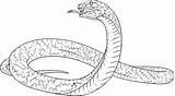 Coloring Cobra Pages King Snake Drawing Rattlesnake Anaconda Realistic Colouring Drawings Snakes Spitting Diamondback Western Printable Color Getcolorings Sheets Mucha sketch template