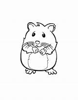 Hamster Coloring Guinea Pig Pages Cute Print Pigs Baby Gerbil Getdrawings Drawing Dwarf Record Color Bank Getcolorings Narwhal Anime Realistic sketch template