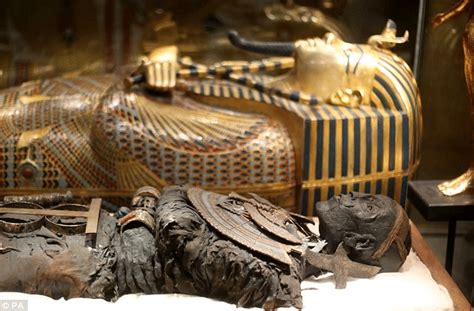 King Tut Treasures Of The Golden Pharaoh
