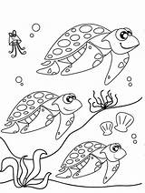 Coloring Migration Turtle Sea Pages Cute Cartoon Designlooter Getcolorings Pagefull Size 797px 03kb sketch template