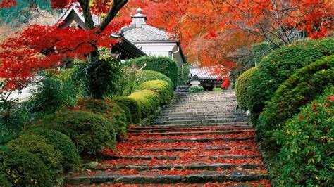 japanese garden wallpapers top free japanese garden backgrounds wallpaperaccess