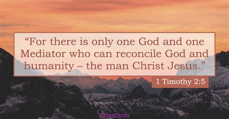 daily verse  timothy