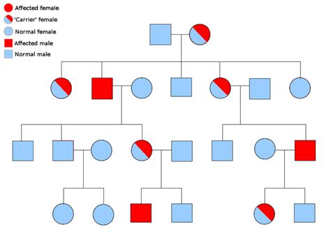 Difference Between Punnett Square And Pedigree Compare The Difference