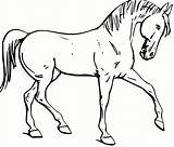 Horse Coloring Pages Printable Color Horses Kids Print Fun Clipart Walking Colouring Realistic Riding Girl Pinto Draft Cliparts Outline Head sketch template