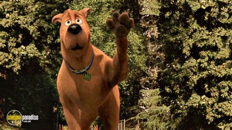 Rent Scooby Doo The Mystery Begins 2009 Film