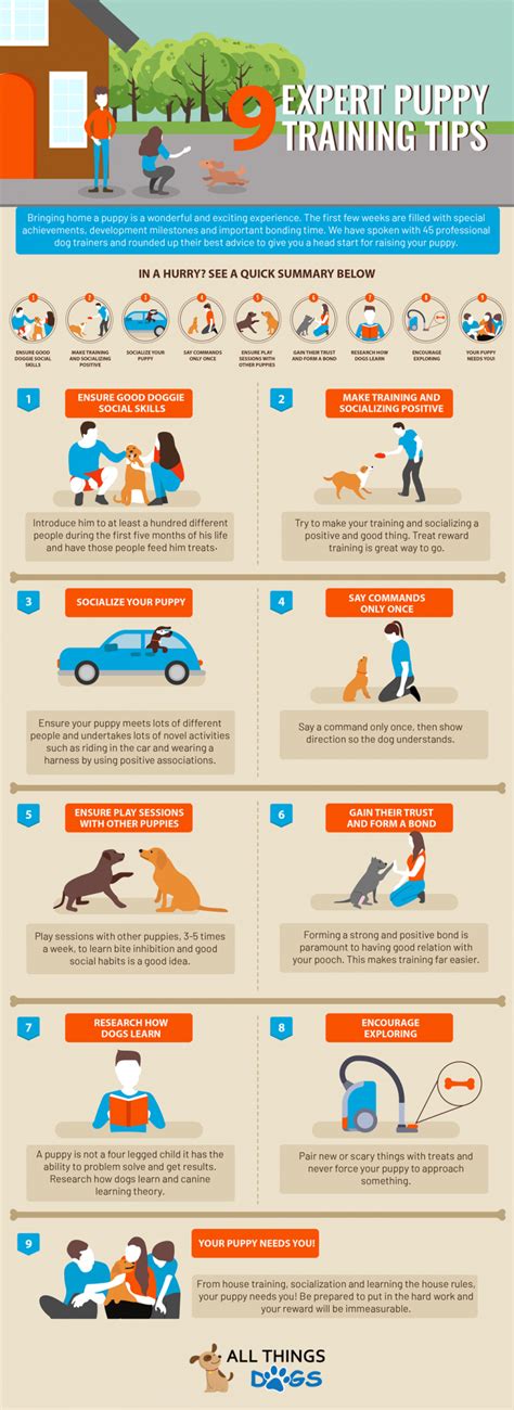 puppy training tips  dog experts share  secrets   dogs