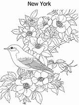Coloring Pages Bird Flower State Difficult Printable Color York Flowers Birds Hard Colouring Adult Print Animal Kids Book Adults Ws sketch template